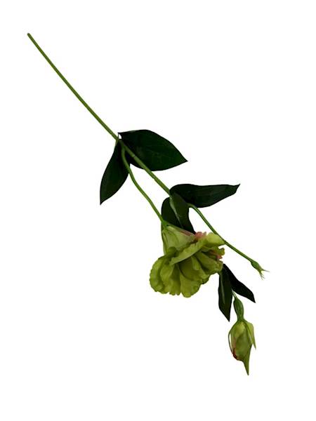 Eustoma gałązka 48 cm zielona