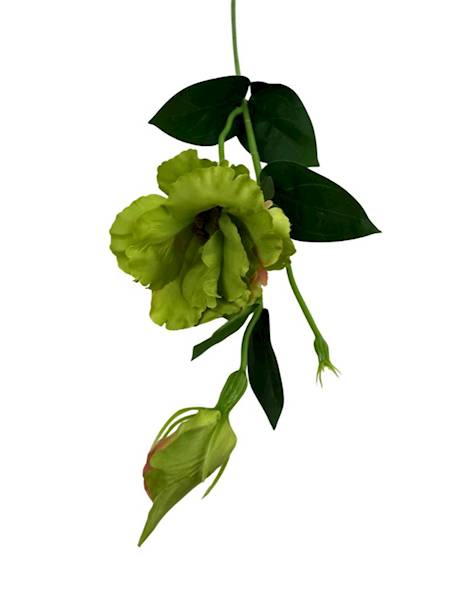 Eustoma gałązka 48 cm zielona