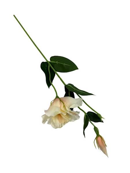 Eustoma gałązka 48 cm delikatna brzoskwinia