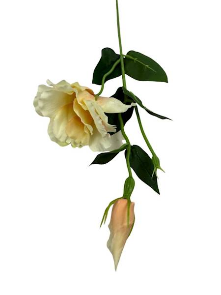 Eustoma gałązka 48 cm delikatna brzoskwinia