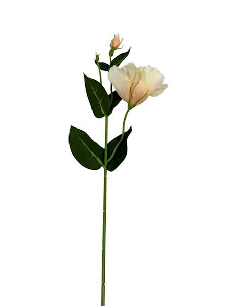 Eustoma gałązka 48 cm delikatna brzoskwinia