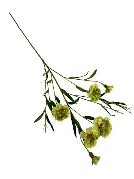 Goździk gałązka 73 cm zielony