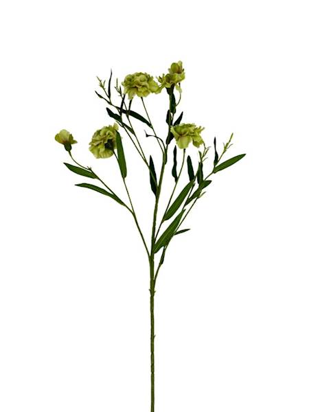 Goździk gałązka 73 cm zielony