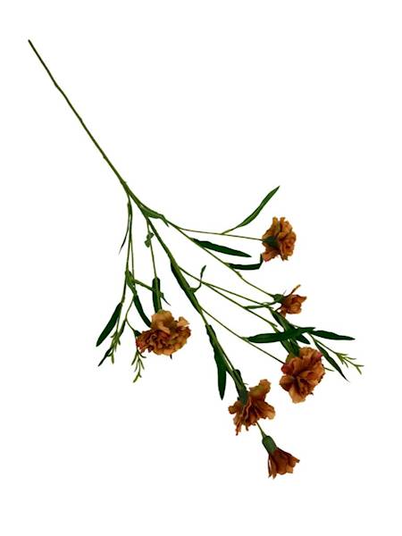 Goździk gałązka 73 cm jasny brąz