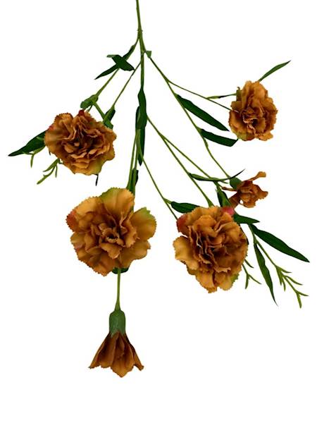 Goździk gałązka 73 cm jasny brąz