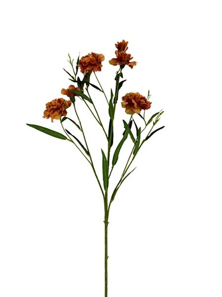 Goździk gałązka 73 cm jasny brąz