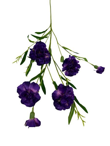 Goździk gałązka 73 cm ciemny fiolet