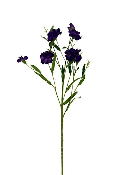 Goździk gałązka 73 cm ciemny fiolet