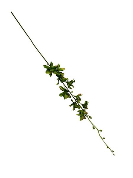 Storczyk tajlandzki 70 cm zielony z akcentami