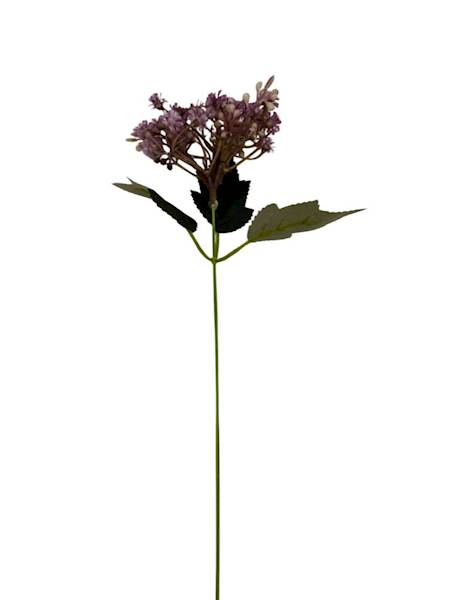 Dodatek gipsówka 36 cm fioletowa