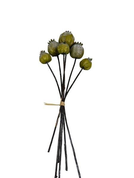 Makówki zielone 6 sztuk