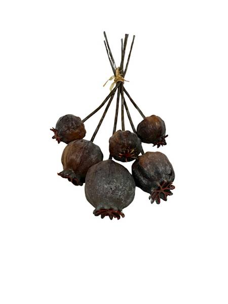 Makówki brązowe 6 sztuk