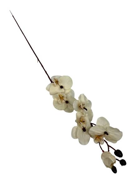 Storczyk gałązka 77 cm kremowy