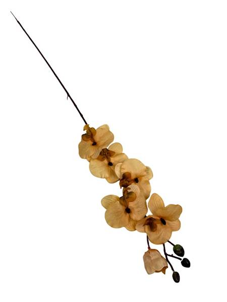 Storczyk gałązka 77 cm żółty
