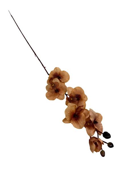 Storczyk gałązka 77 cm jasny brąz