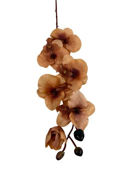 Storczyk gałązka 77 cm jasny brąz