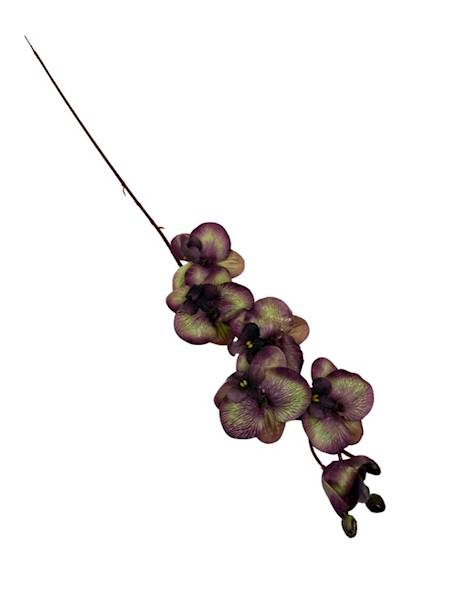 Storczyk gałązka 77 cm brudny fiolet i zielony