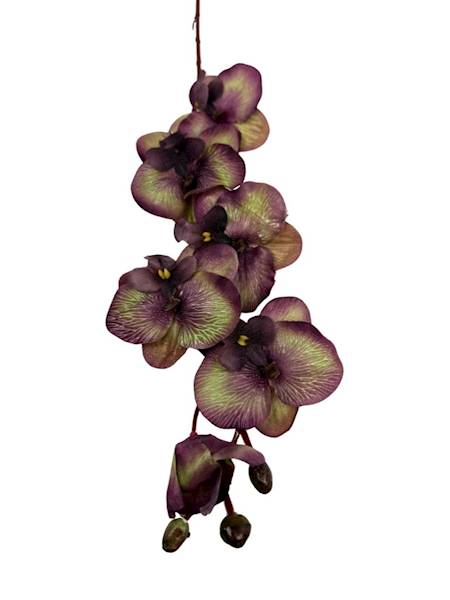 Storczyk gałązka 77 cm brudny fiolet i zielony