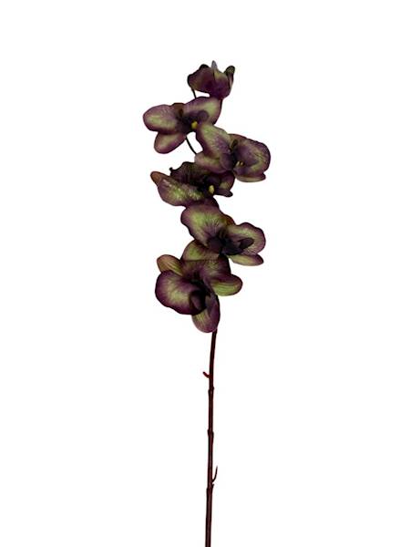 Storczyk gałązka 77 cm brudny fiolet i zielony
