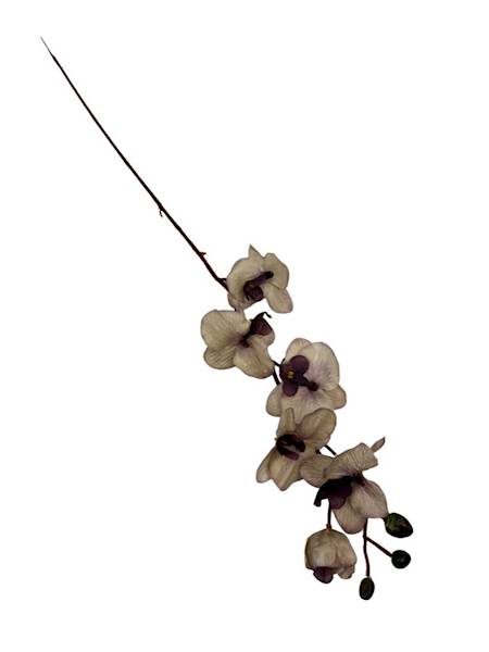 Storczyk gałązka 77 cm beż i brudny fiolet