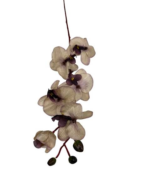 Storczyk gałązka 77 cm beż i brudny fiolet