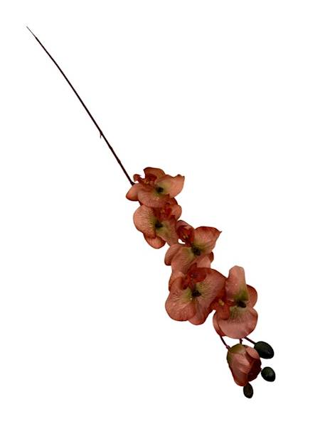 Storczyk gałązka 77 cm pomarańcz / rudy
