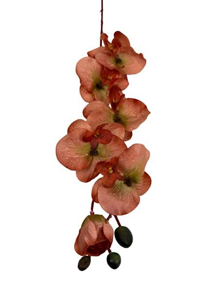 Storczyk gałązka 77 cm pomarańcz / rudy