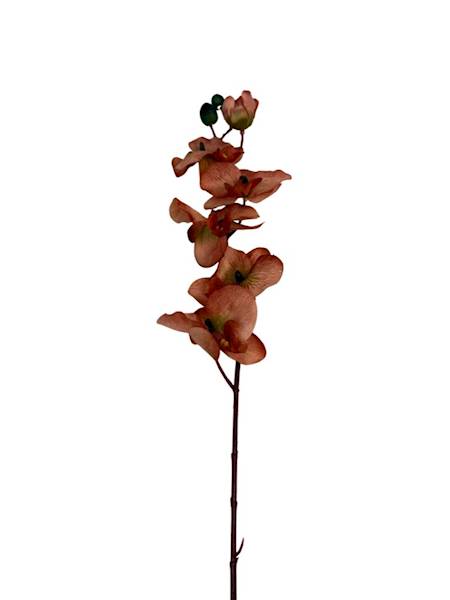 Storczyk gałązka 77 cm pomarańcz / rudy