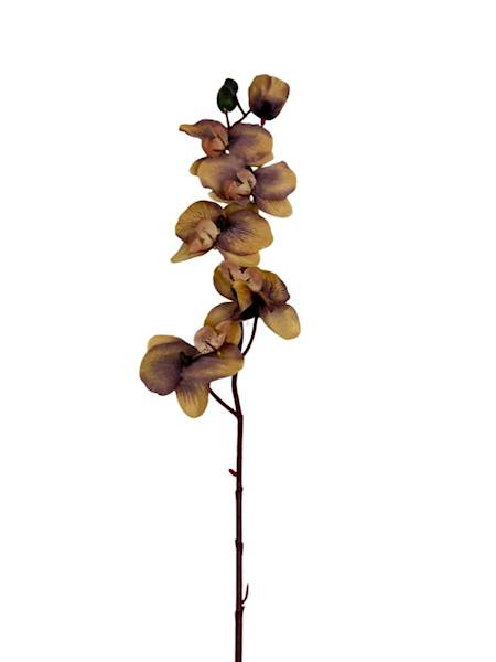 Storczyk gałązka 77 cm musztardowy i brudny fiolet