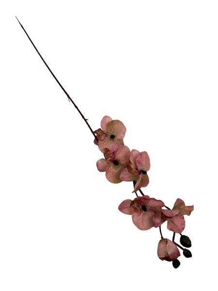 Storczyk gałązka 77 cm brudny róż i zielony