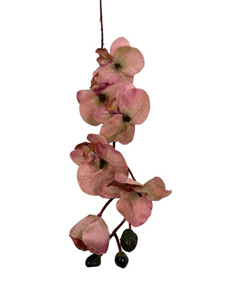 Storczyk gałązka 77 cm brudny róż i zielony