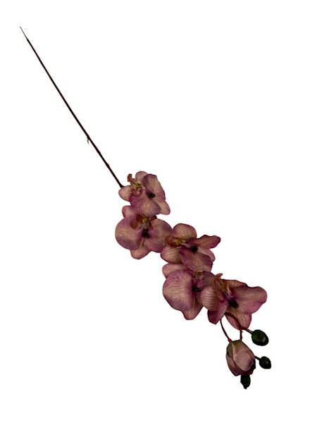 Storczyk gałązka 77 cm brudny róż i fiolet