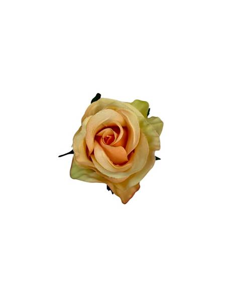 Róża główka 5 cm brzoswiniowa