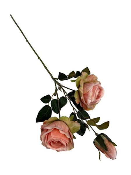 Róża gałązka 70 cm brzoskwiniowa z zielenią