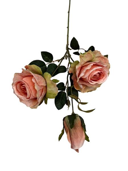 Róża gałązka 70 cm brzoskwiniowa z zielenią