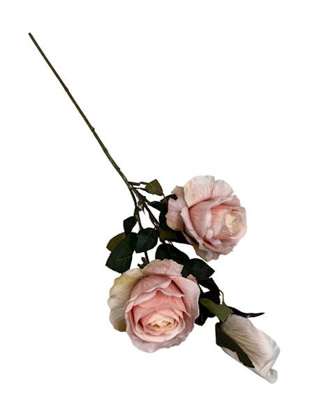 Róża gałązka 70 cm jasna brzoskwinia