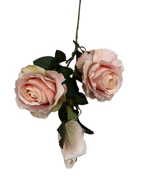 Róża gałązka 70 cm jasna brzoskwinia