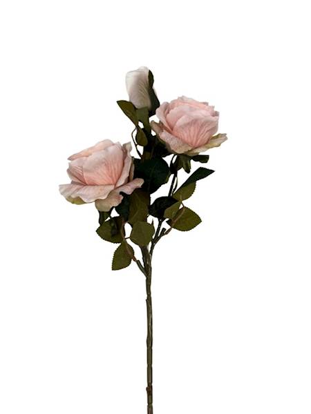 Róża gałązka 70 cm jasna brzoskwinia