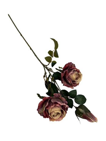 Róża gałązka 70 cm bordo z beżem