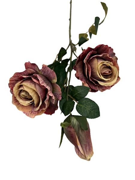 Róża gałązka 70 cm bordo z beżem