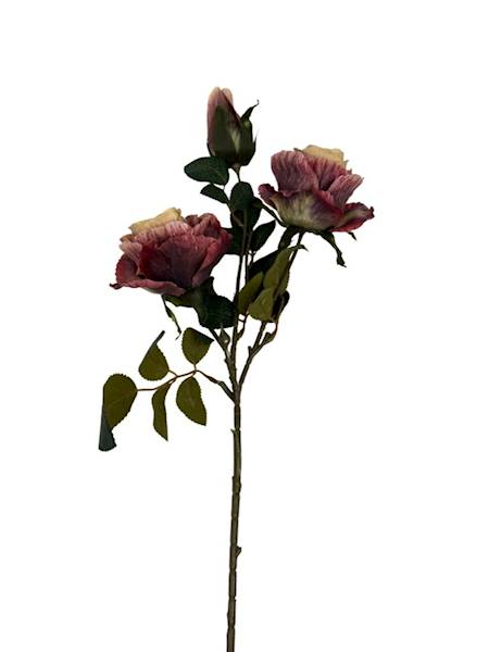 Róża gałązka 70 cm bordo z beżem