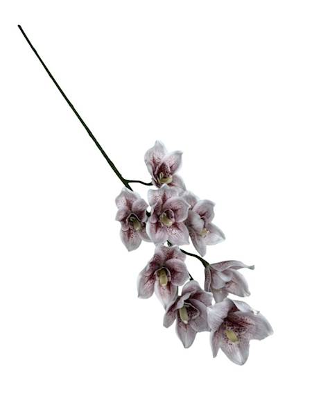 Orchidea gałązka 85 cm biała z czerwonym