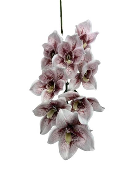 Orchidea gałązka 85 cm biała z czerwonym