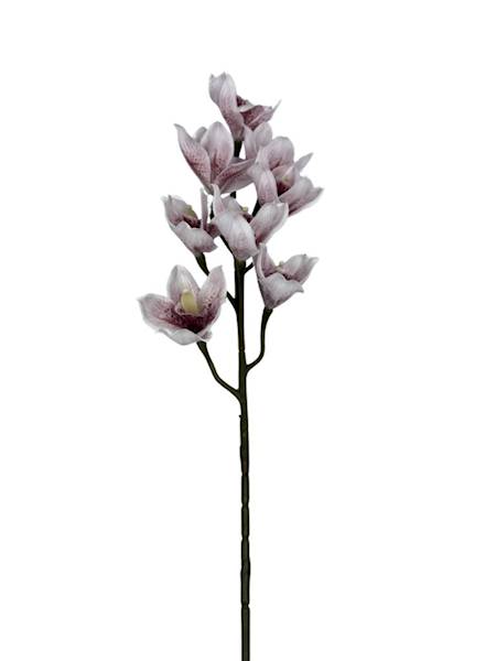 Orchidea gałązka 85 cm biała z czerwonym