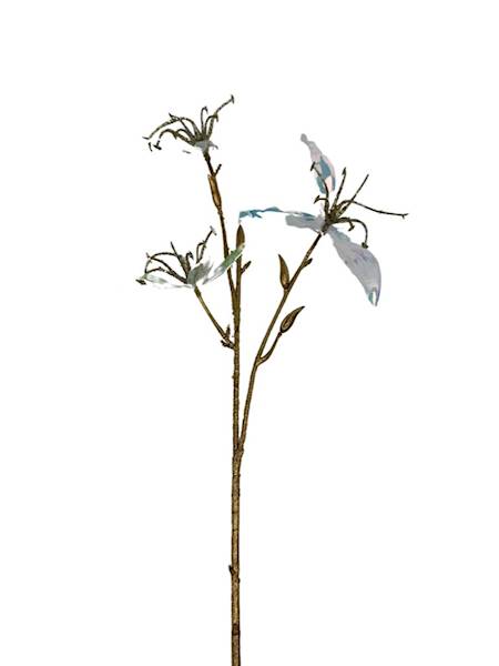 Glorioza gałązka 62 cm 