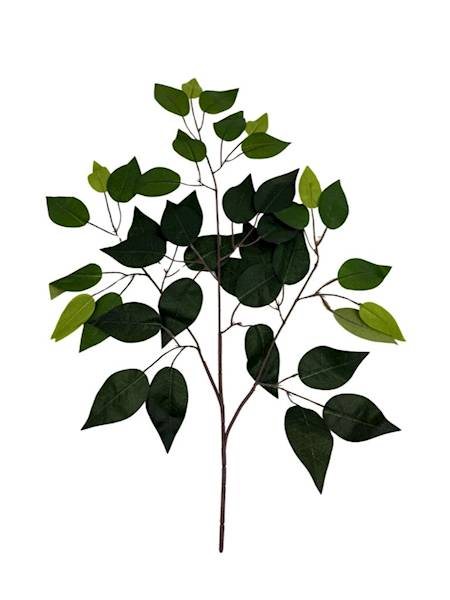 Fikus liść 58 cm