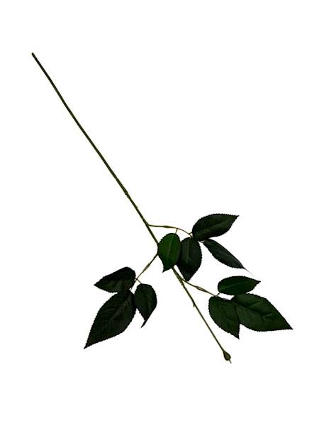 Łodyga do róży 66 cm 