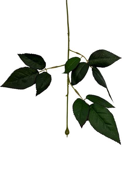 Łodyga do róży 66 cm 