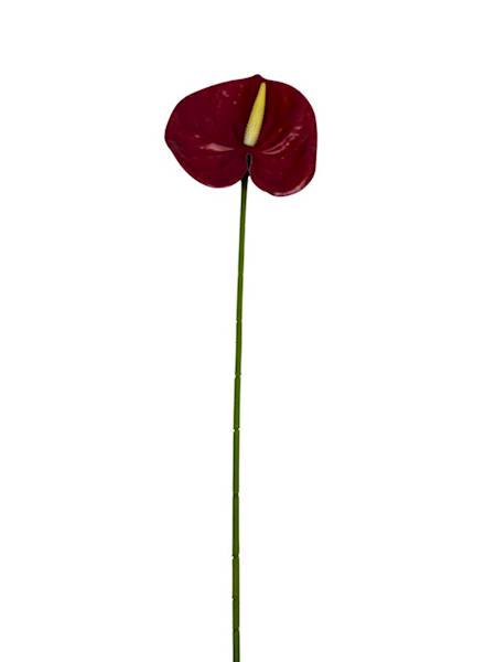 Anturium gałązka 60 cm czerwone