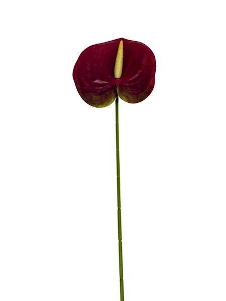 Anturium gałązka 60 cm czerwone z zielonym 